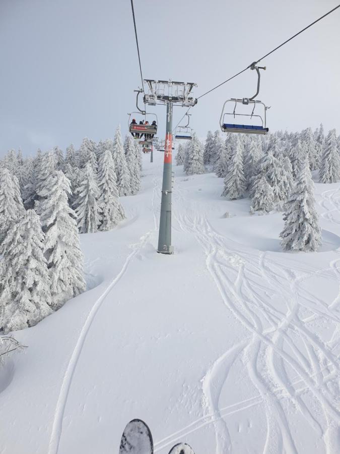 Apartman Kostic Kraljev Konak Kopaonik Exterior photo